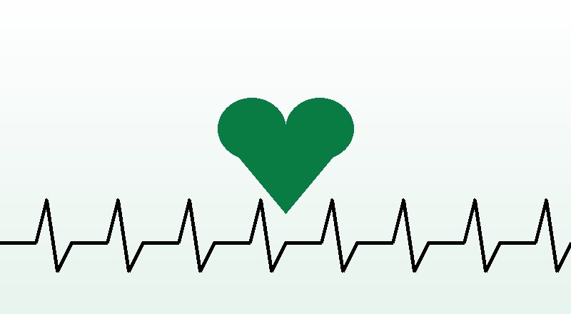 Healthcare - SHA System